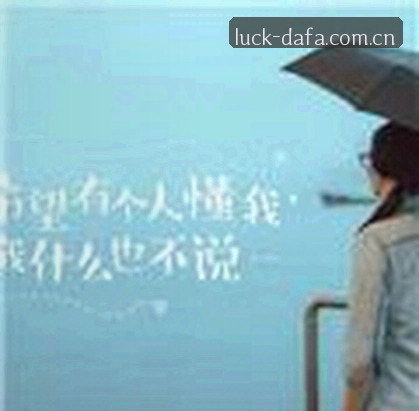 赵强